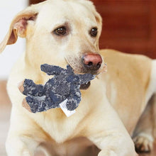 Load image into Gallery viewer, Dotmalls Robust Bears