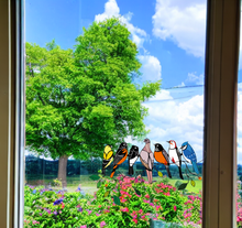 Load image into Gallery viewer, Birds Stained Glass Window Hangings