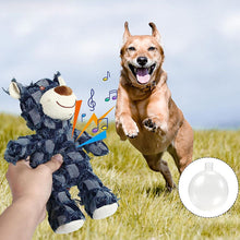 Load image into Gallery viewer, Dotmalls Robust Bear
